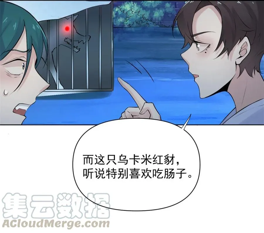 39.动物园惊魂？！ 第21页