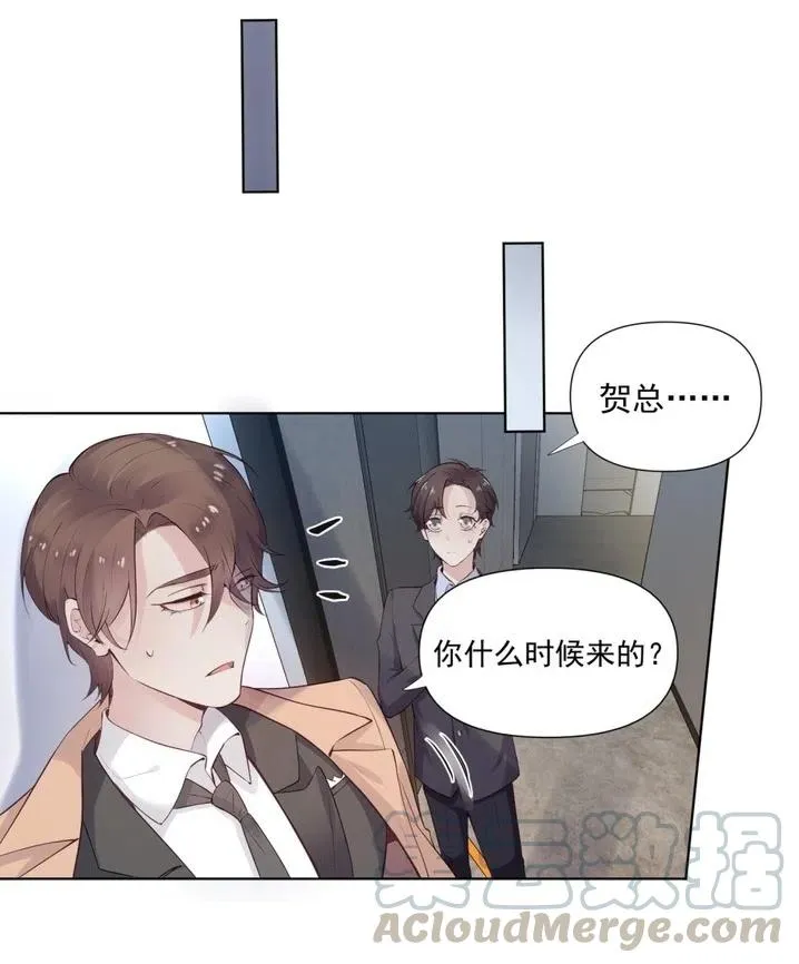 38.贺总要来真的？？！ 第5页