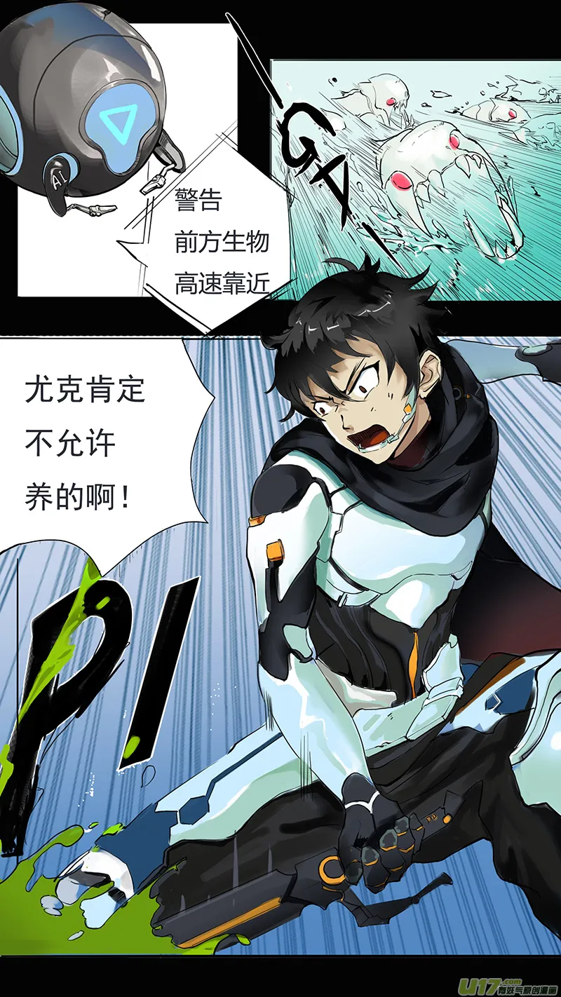 41 第3页