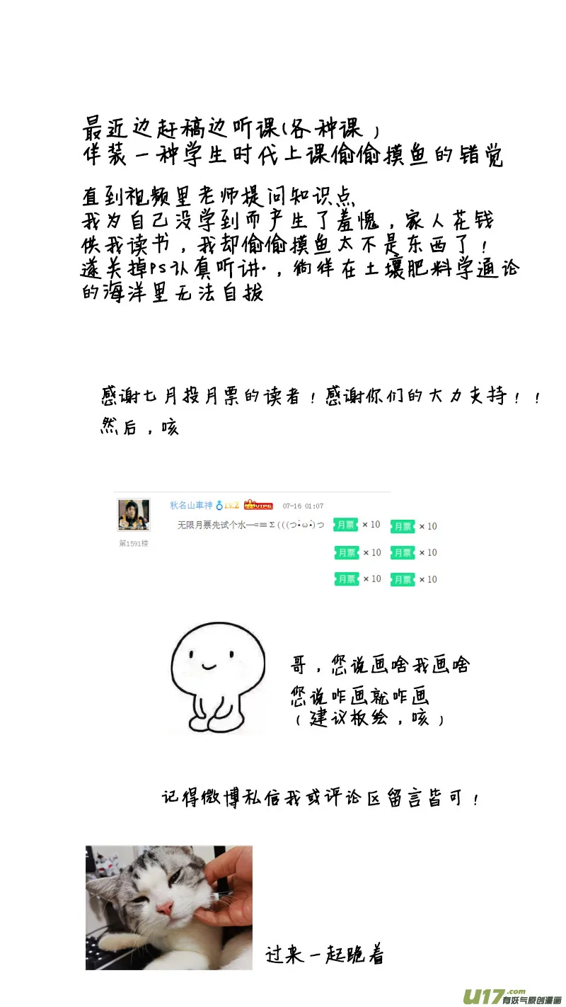 51 第13页