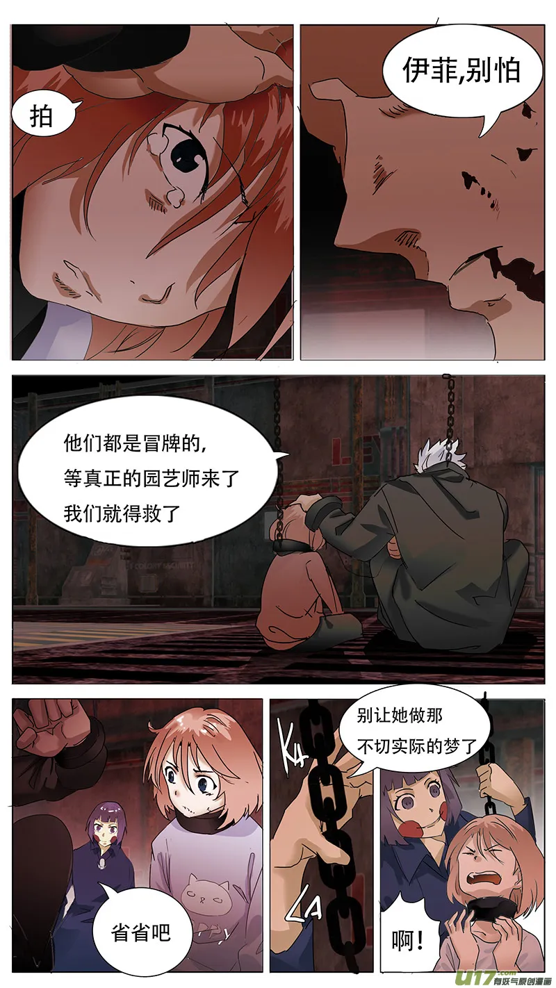 117 第10页