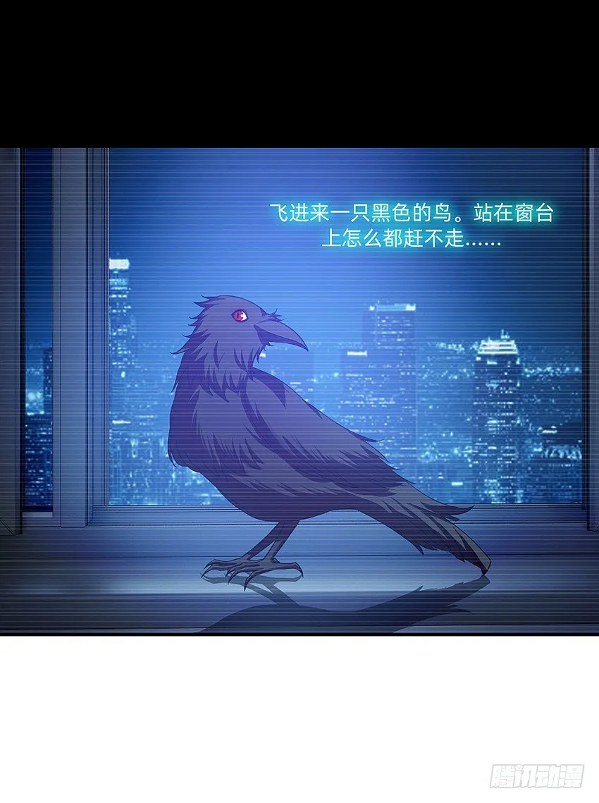 神秘的黑鸟 第11页