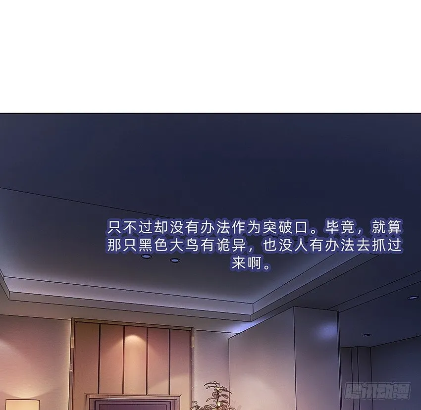 神秘的黑鸟 第17页