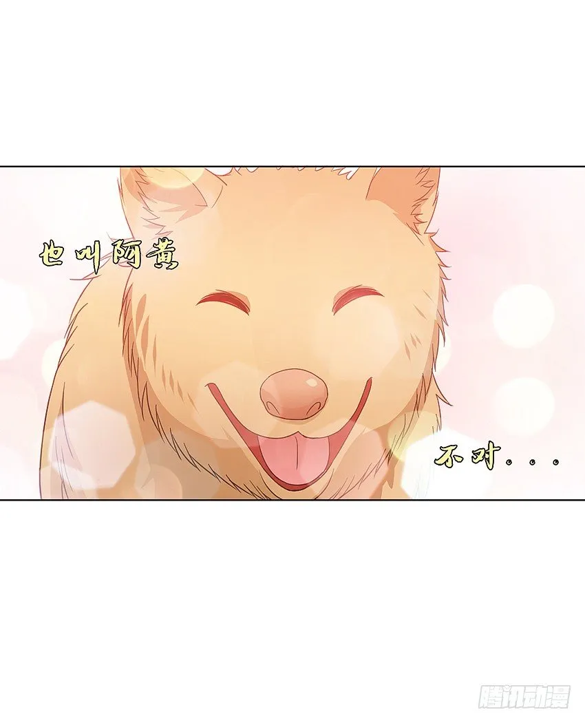 神秘的黑鸟 第33页
