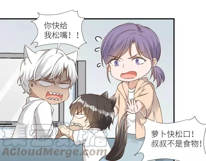 第52话 怎么有如此迟钝的家伙 第13页