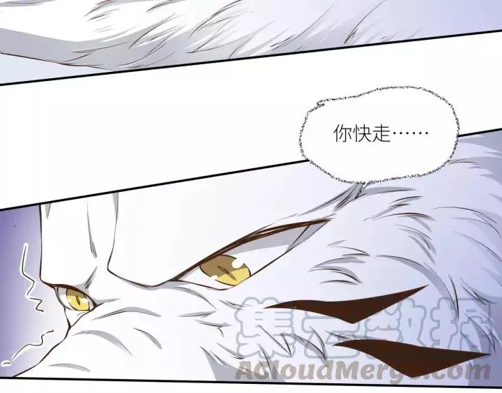第53话 圆月之夜 第52页