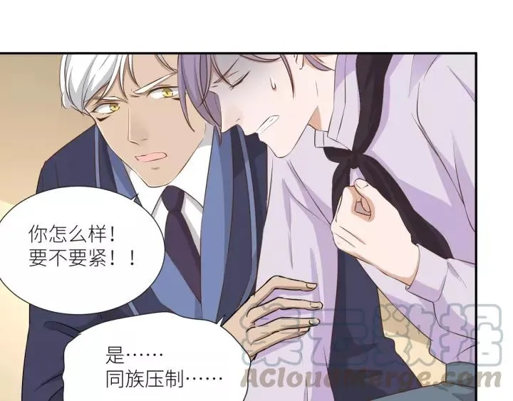 第55话 吸血鬼男仆？ 第52页