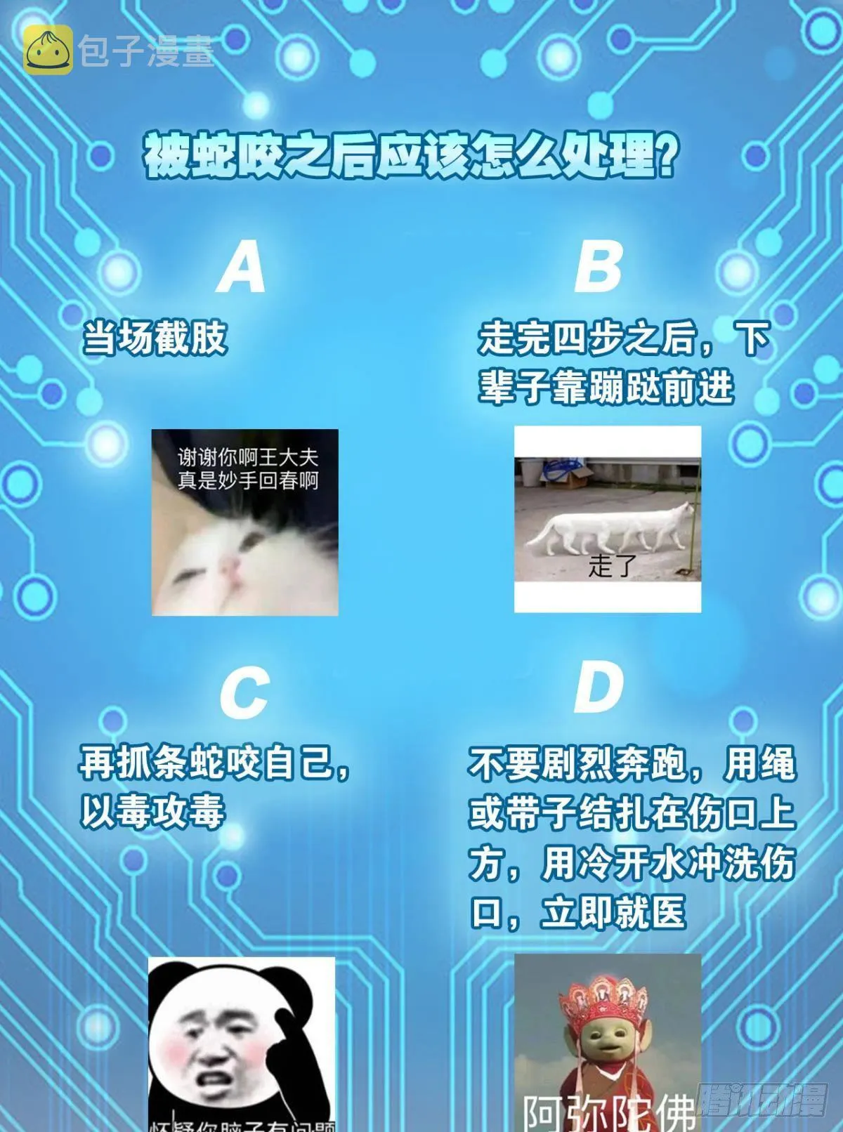 僵尸丛林 第51页