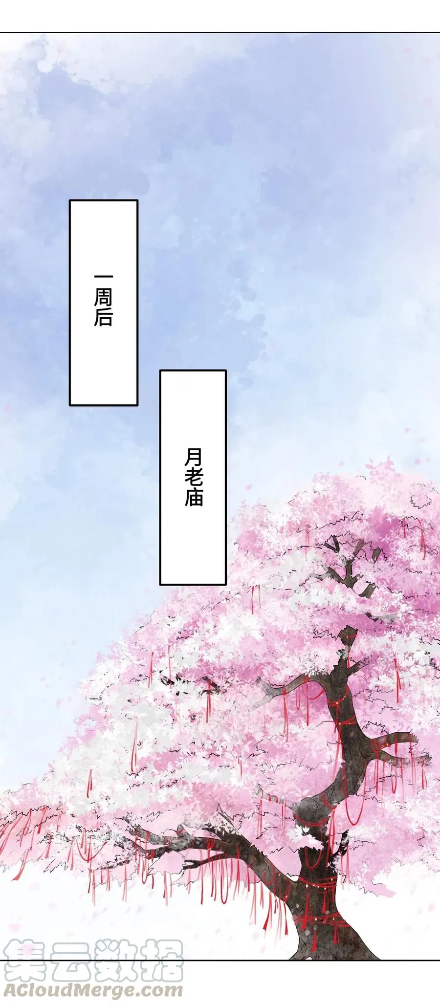 031 第一次结婚要办婚礼的 第17页