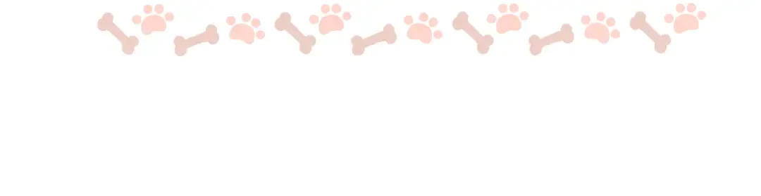第26集 桑延的优点 第64页