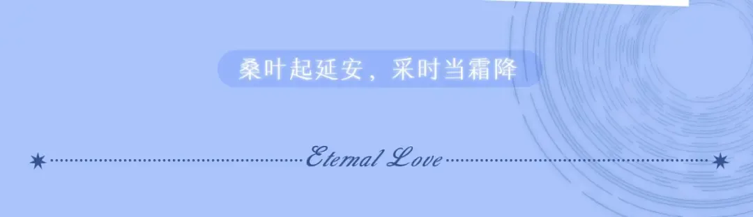 第27集 真心话 第98页