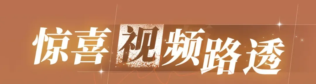 特典公开：11月11日 难哄 绮梦之章 携手相启 第13页