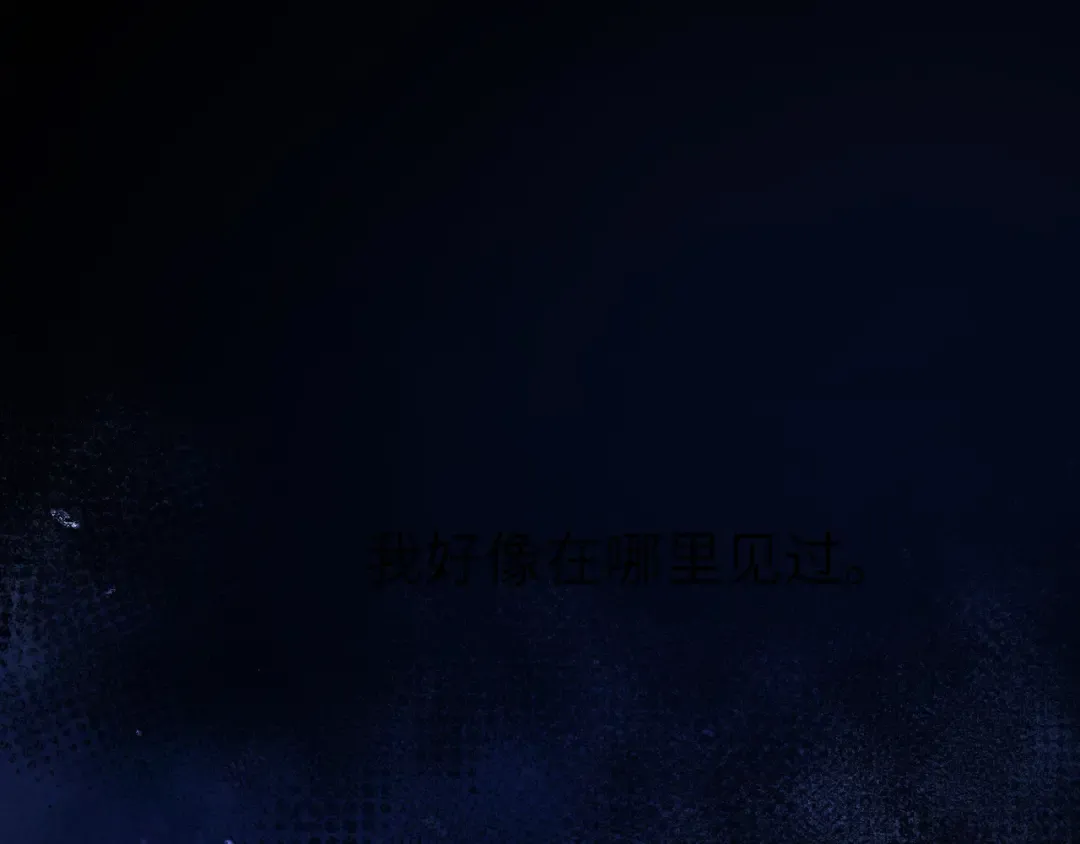 111 我见过他 第85页