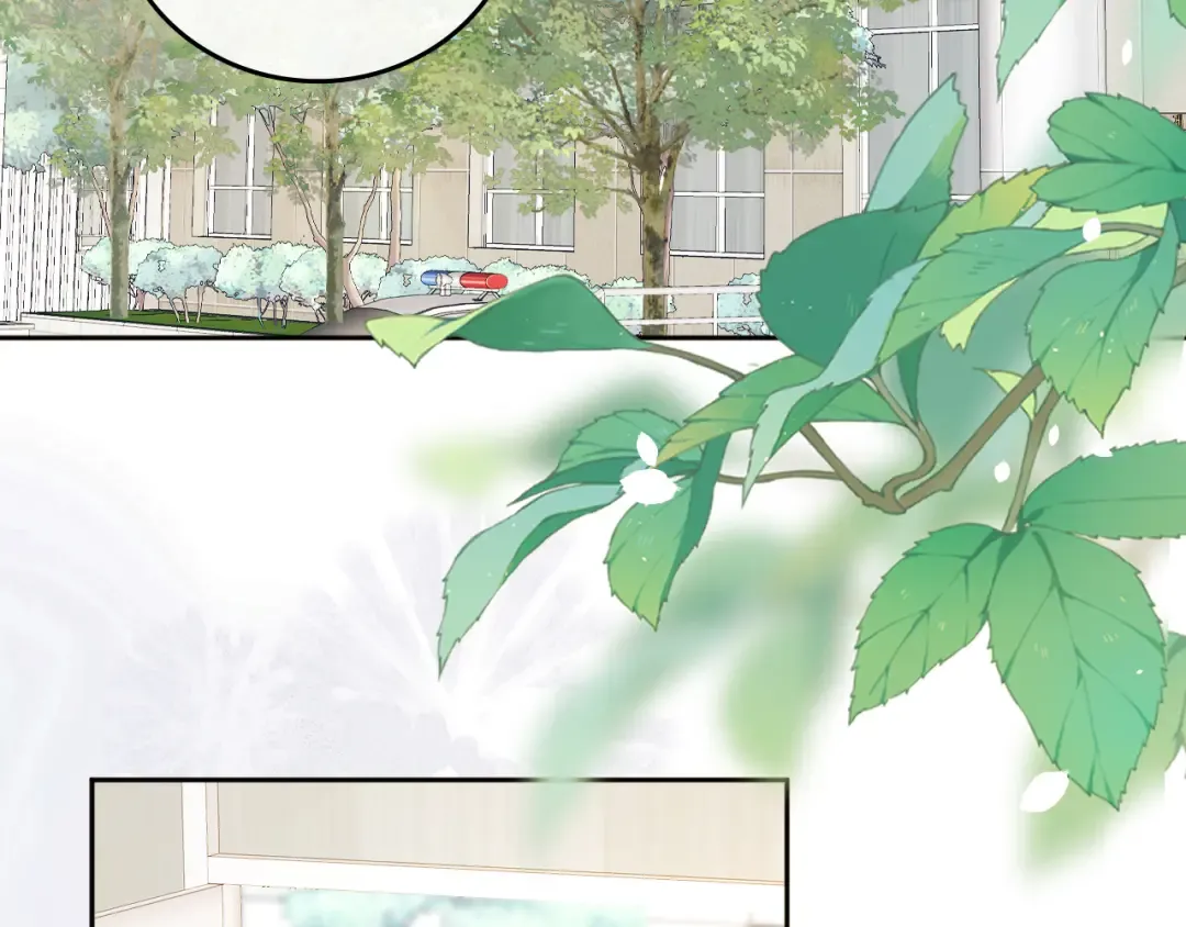 138 支撑 第6页