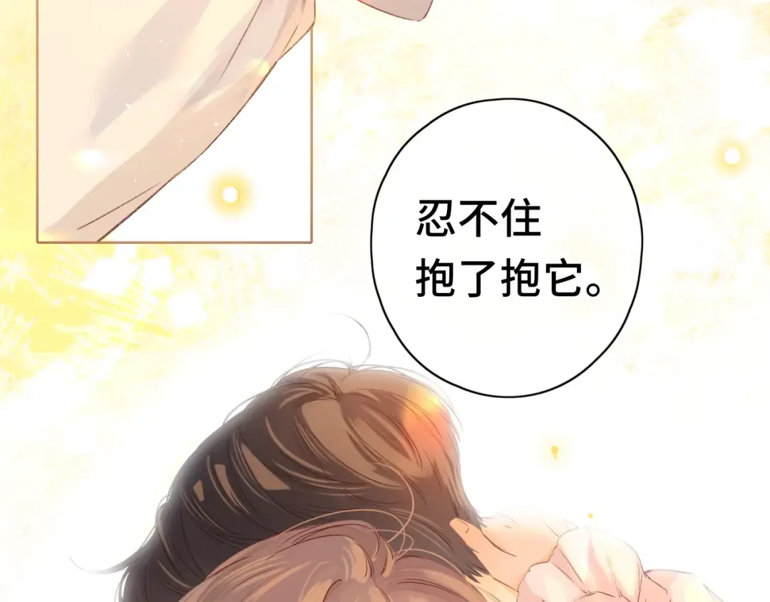 第37集 她的太阳 第35页