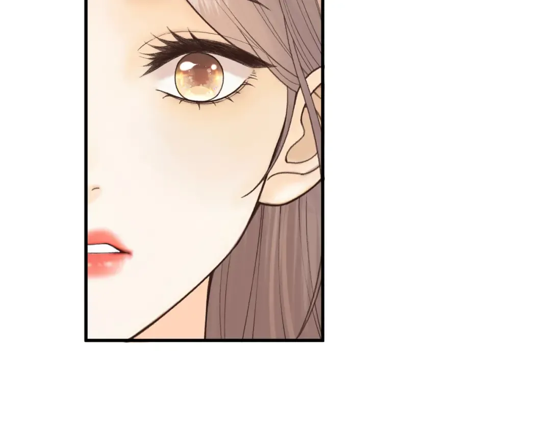 161 搬家整理 第43页