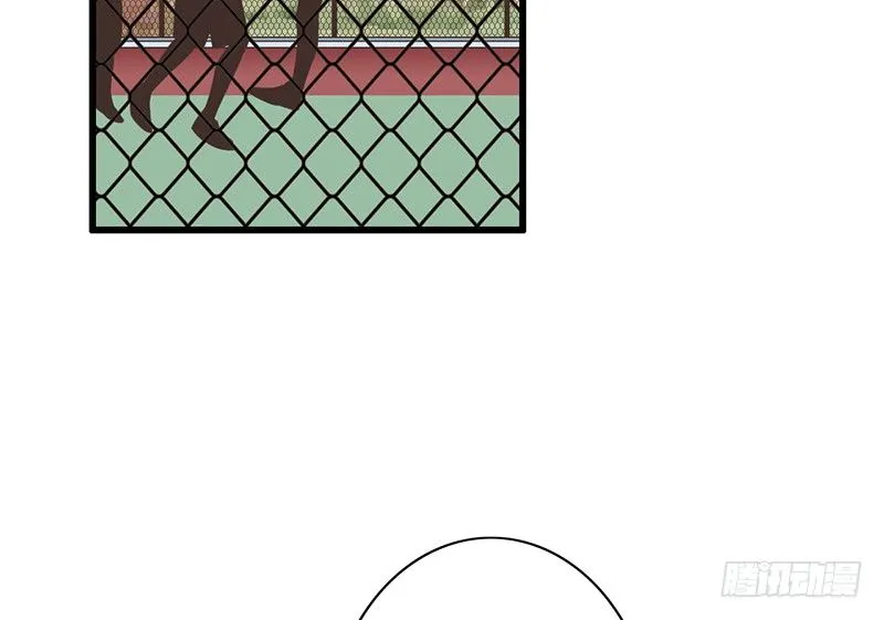 第41话 暗中观察 第4页