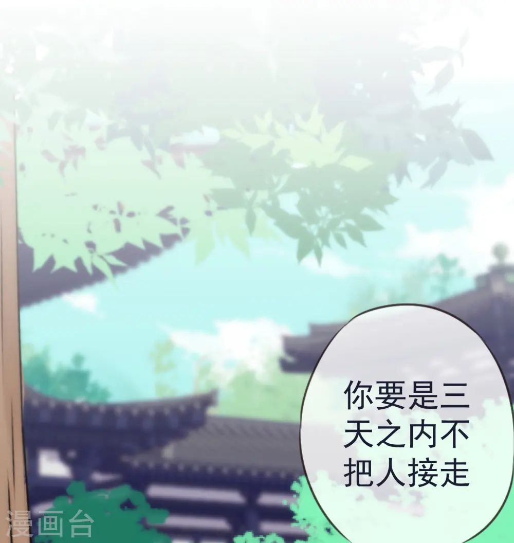 第204话 不见棺材不掉泪 第6页