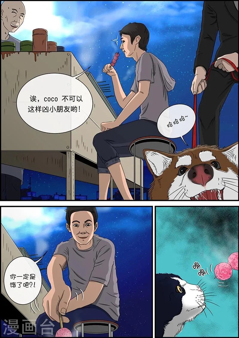 第32话 猫的巡礼 第5页