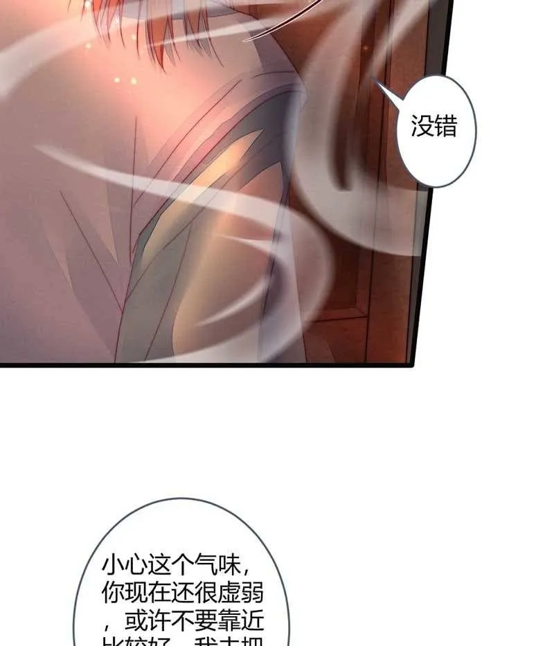 你杀不了我的 第4页