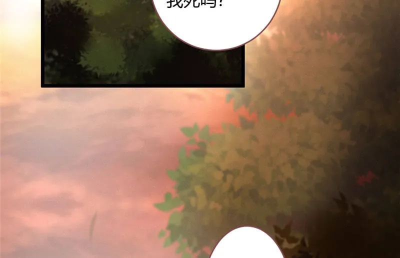 不推开的理由 第50页