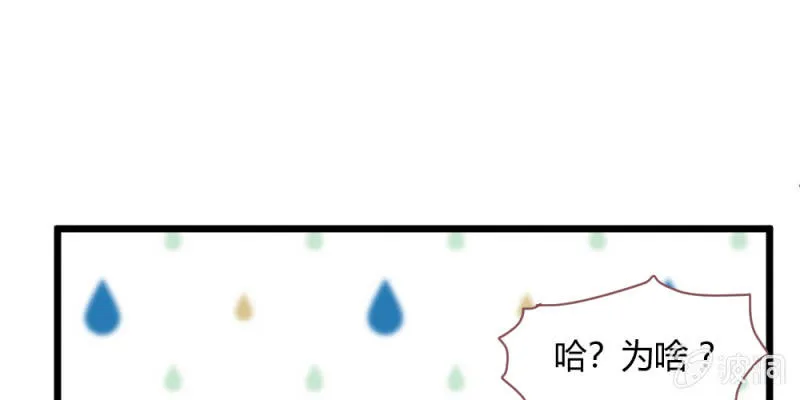 动身凉城 第61页