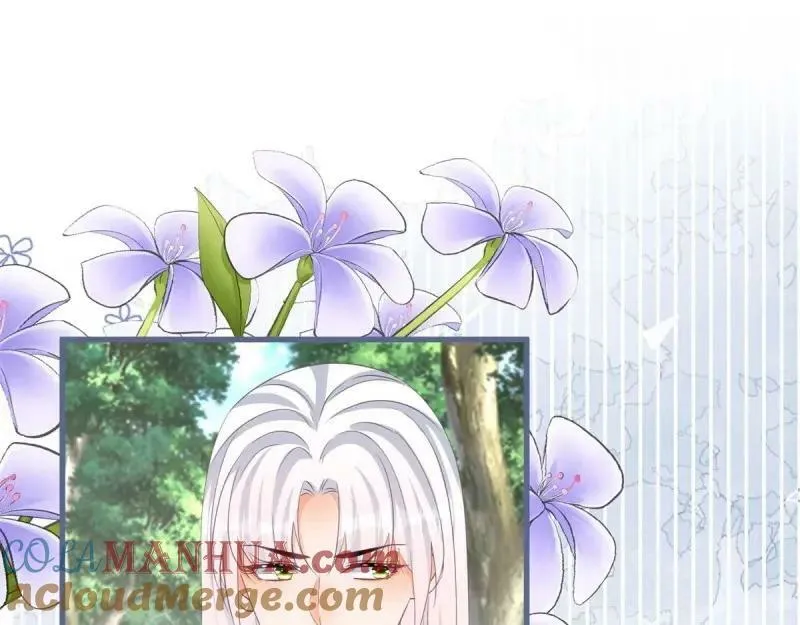 第170话 第167话 三兄弟争夺凯特 第53页