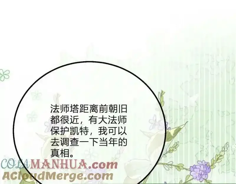 第167话 三兄弟争夺凯特 第33页
