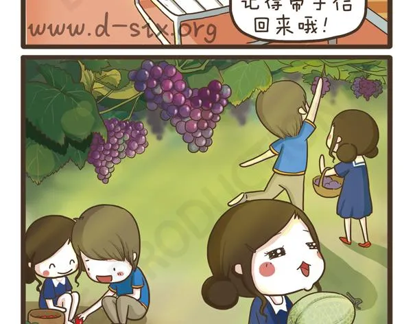 第37话 打劫西瓜 第2页
