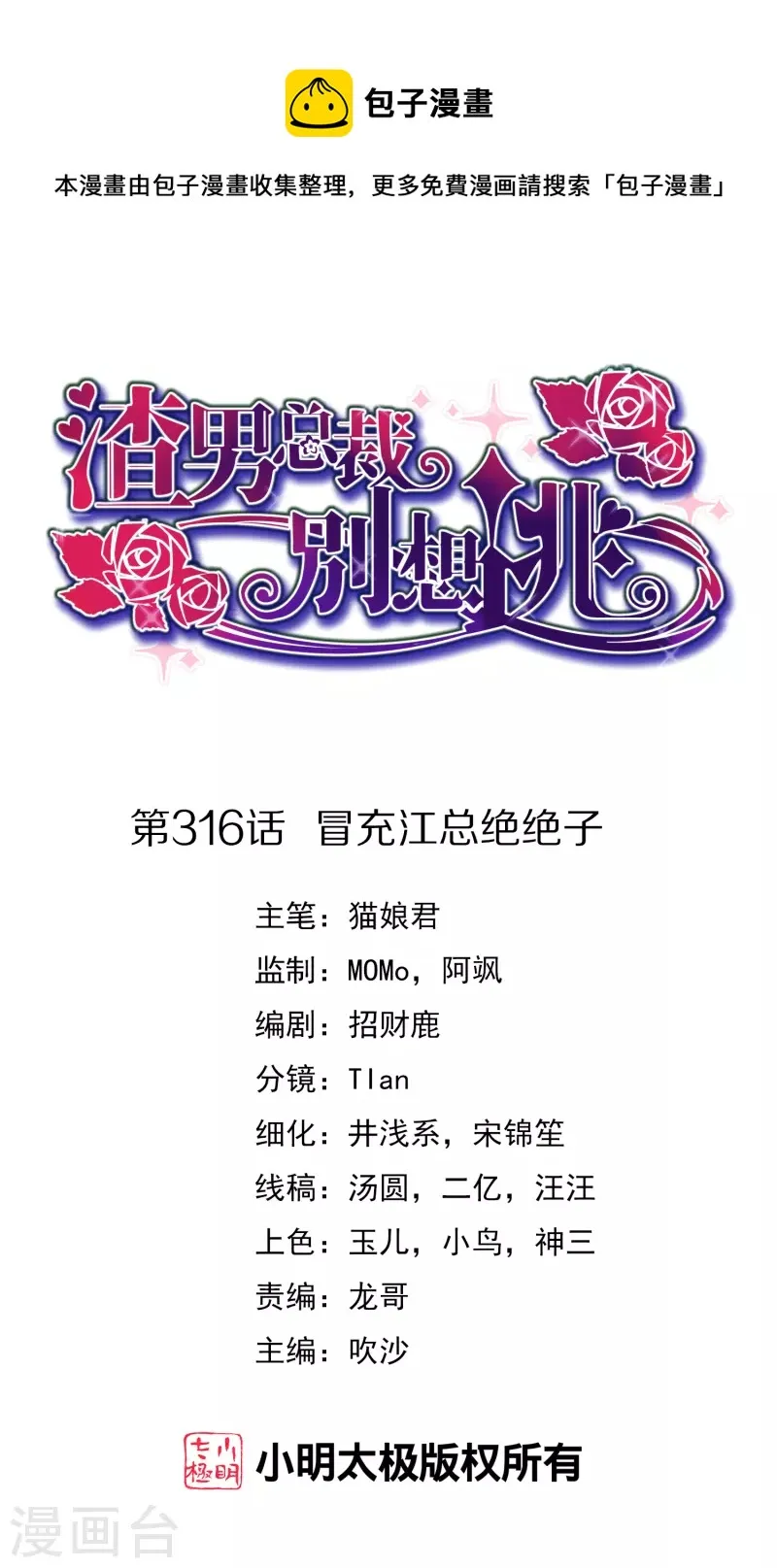 第316话 冒充江总绝绝子 第1页