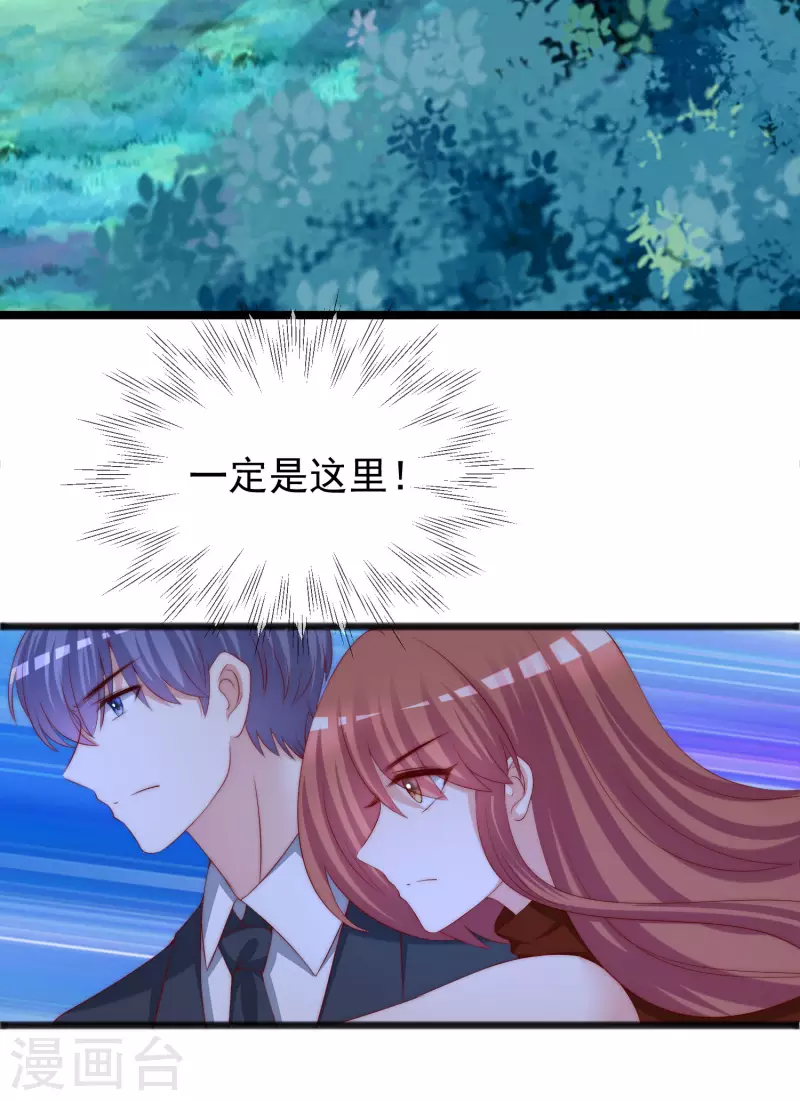 第295话 沈姨最后的决定 第3页