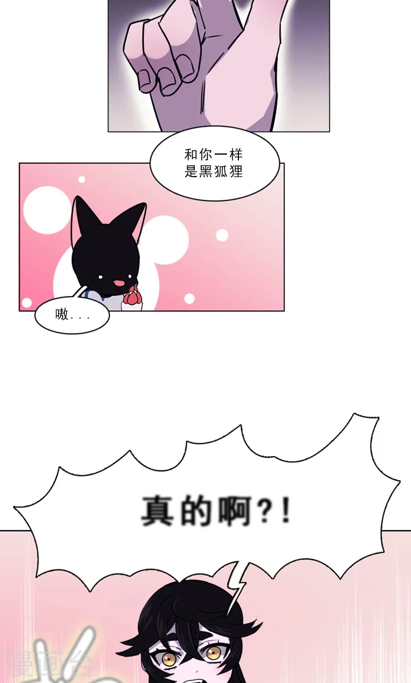 第38话 另一只黑狐 第10页