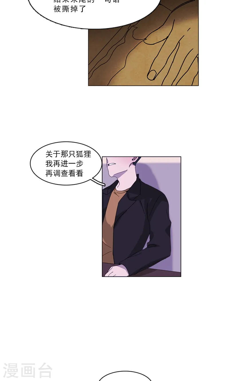 第38话 另一只黑狐 第12页