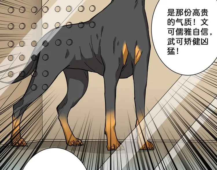 第66话 老祖 第22页