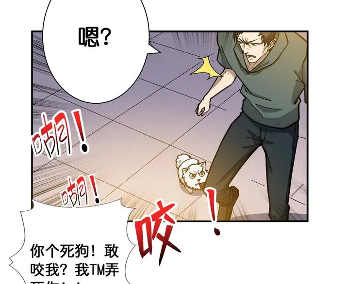 第101话 不要怂！就是干！ 第37页