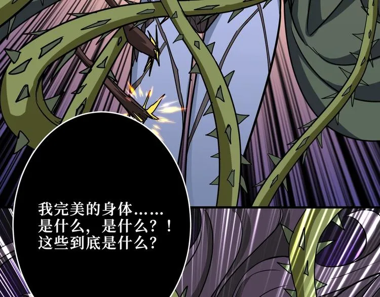 第208话 一出手就是LSP了 第73页