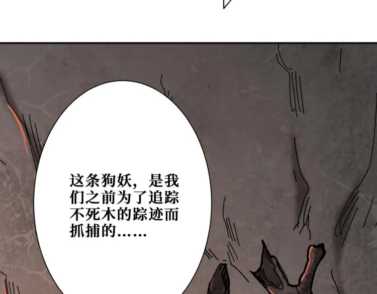 第265话 绝望之森 第144页