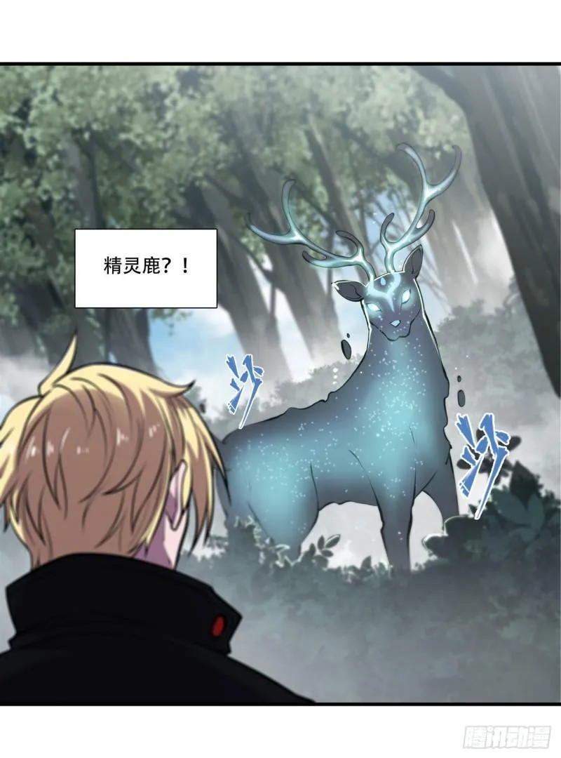 222 条件交换 第47页