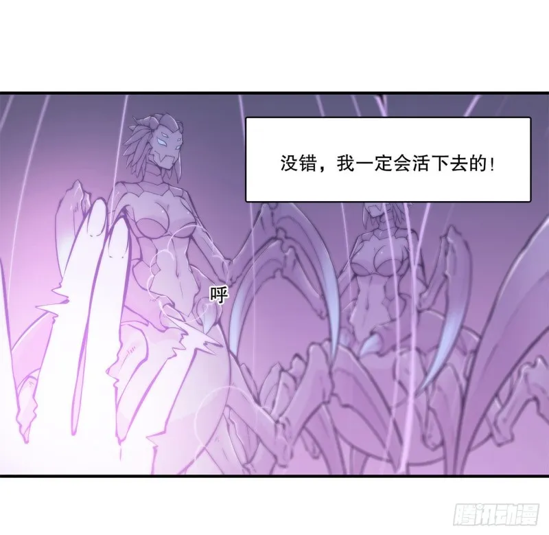 第72话 白姬登场 第7页