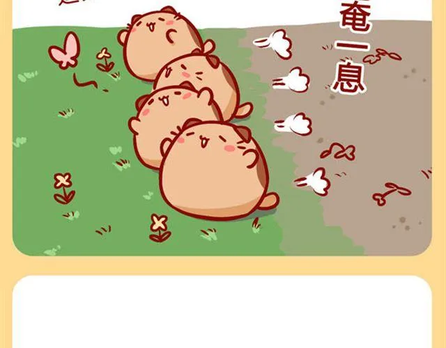 肥喵是猫哦 第7页
