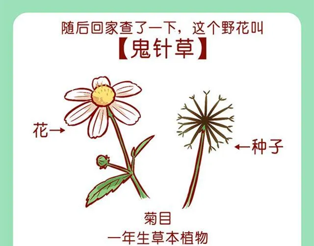 如何饲养一只肥喵 第18页