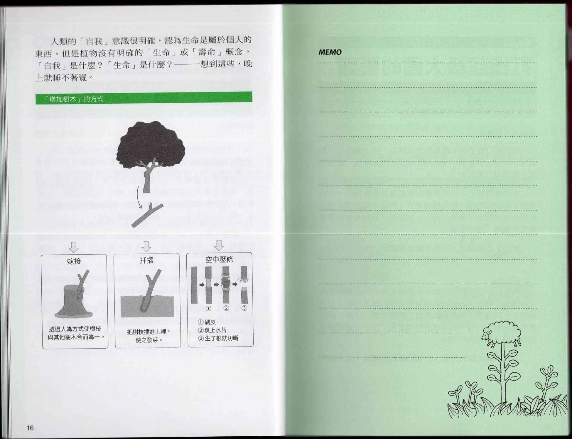 1卷 第13页
