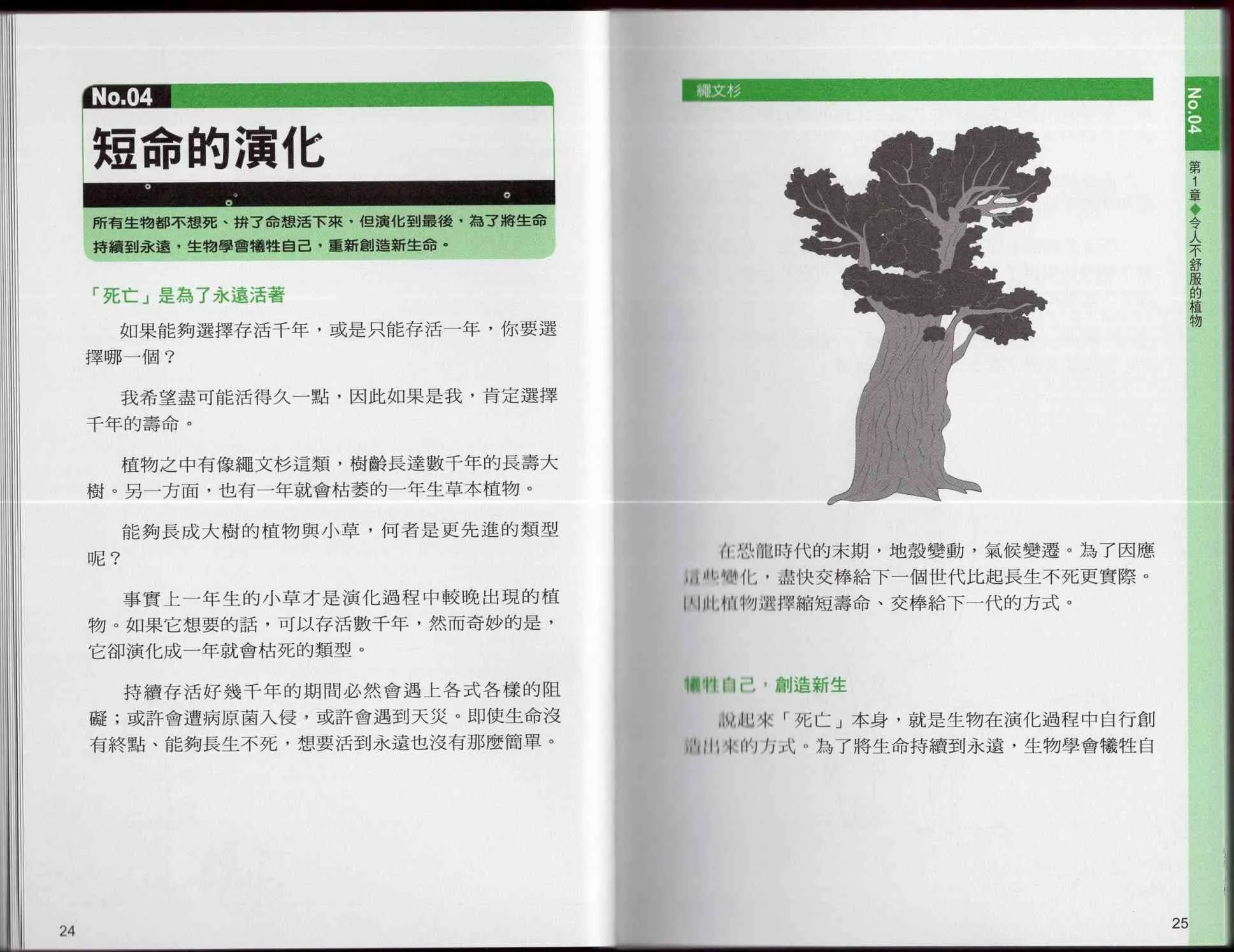 1卷 第17页