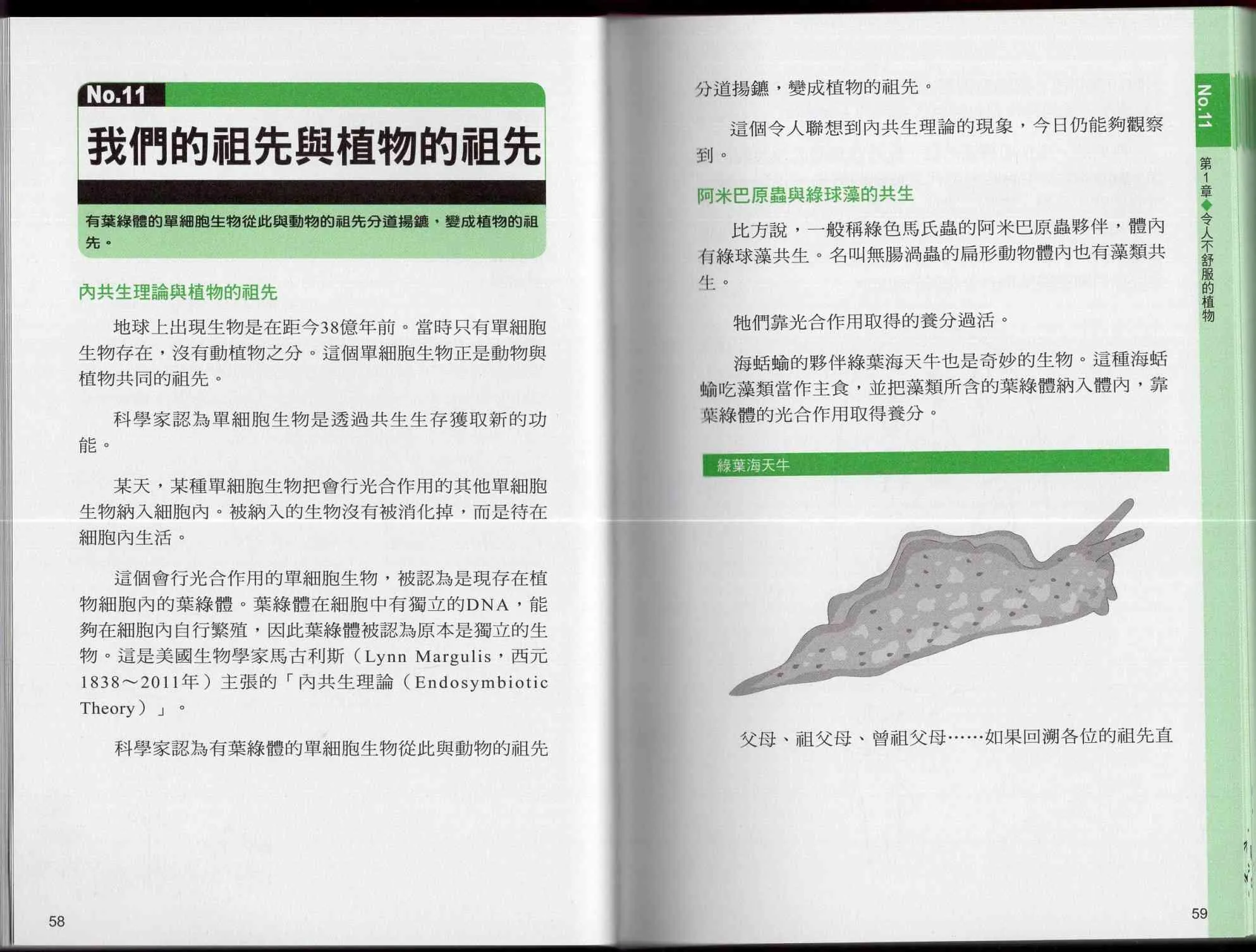 1卷 第34页