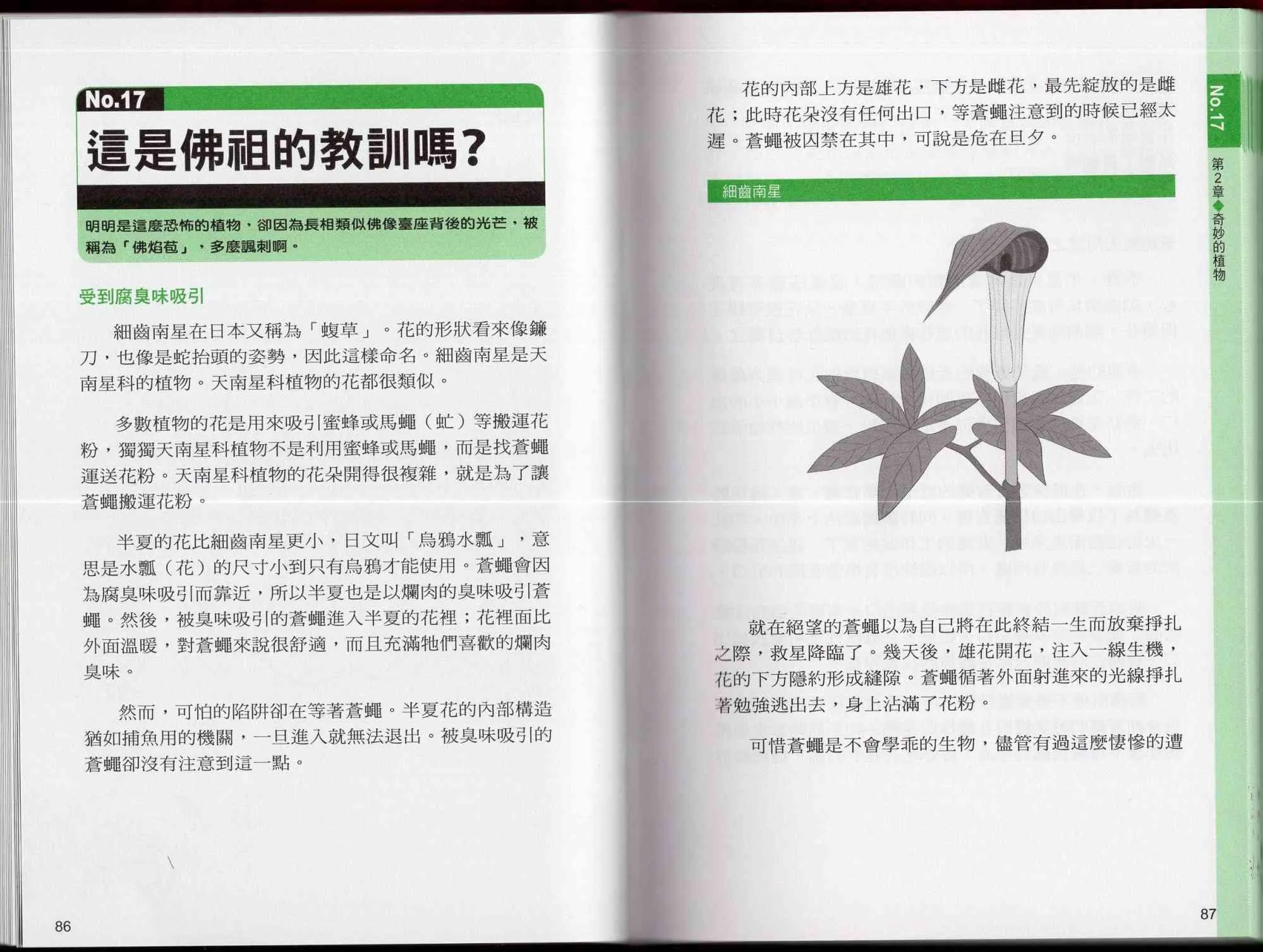 1卷 第48页