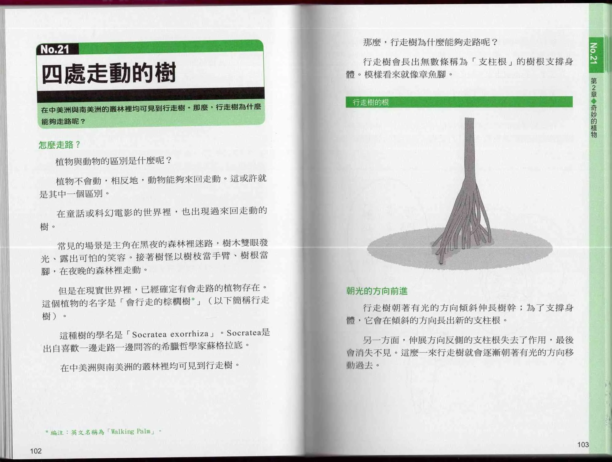 1卷 第56页