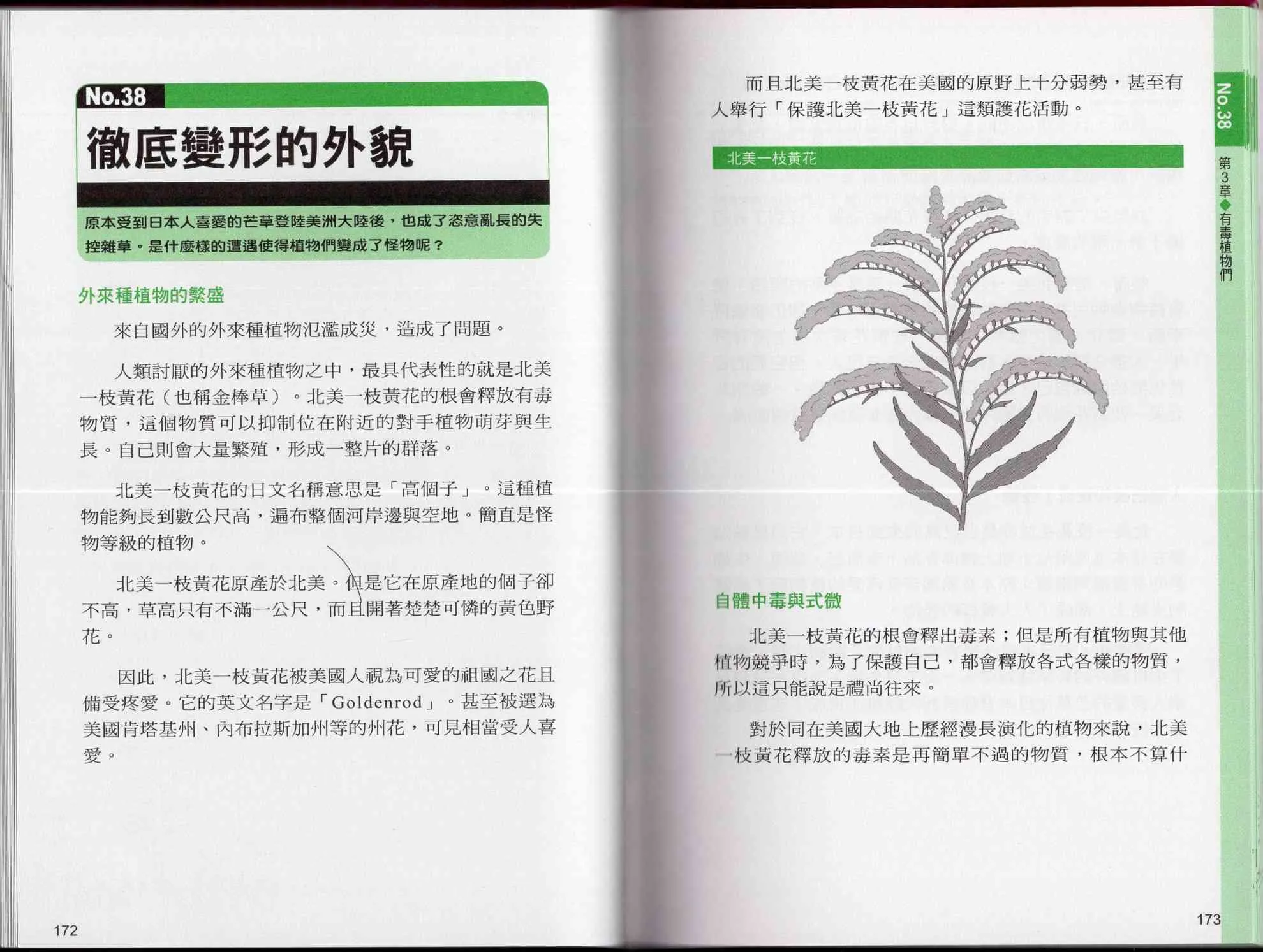 1卷 第91页