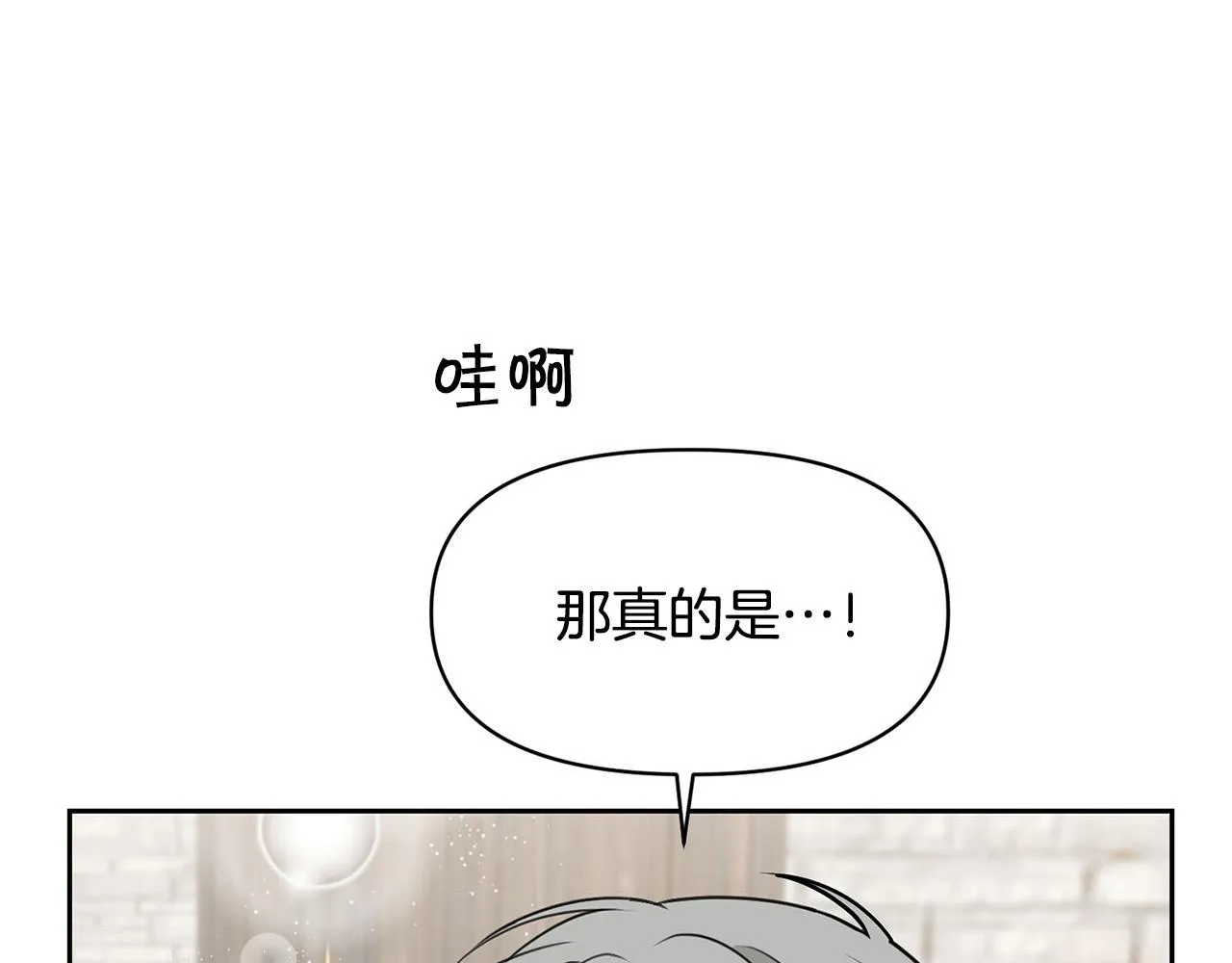 外传12 极光要出现了！ 第111页
