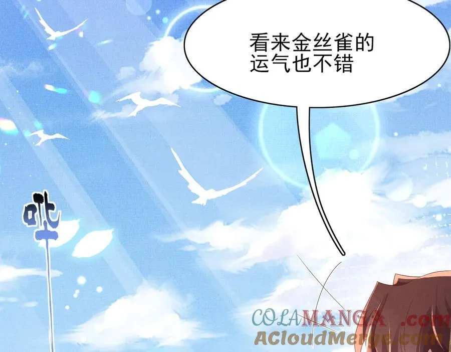 第182话 金丝雀的荒野求生？ 第25页