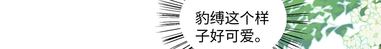 18 打跑了羊，又来只狮 第82页